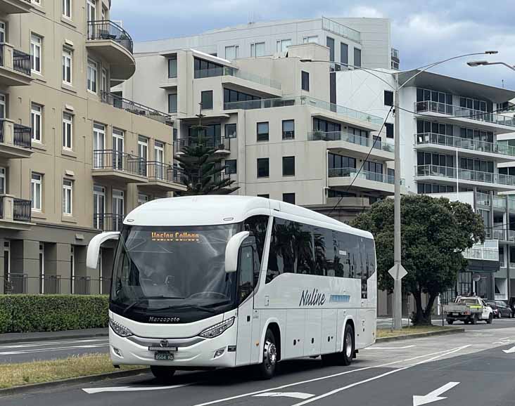 Nuline Volvo B9R Marcopolo Audace 85